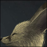 Aden's Avatar